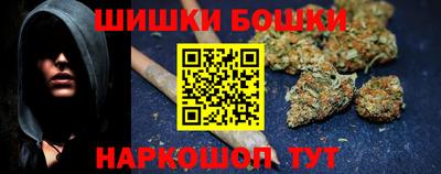 дмт Гай