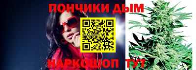дмт Гай