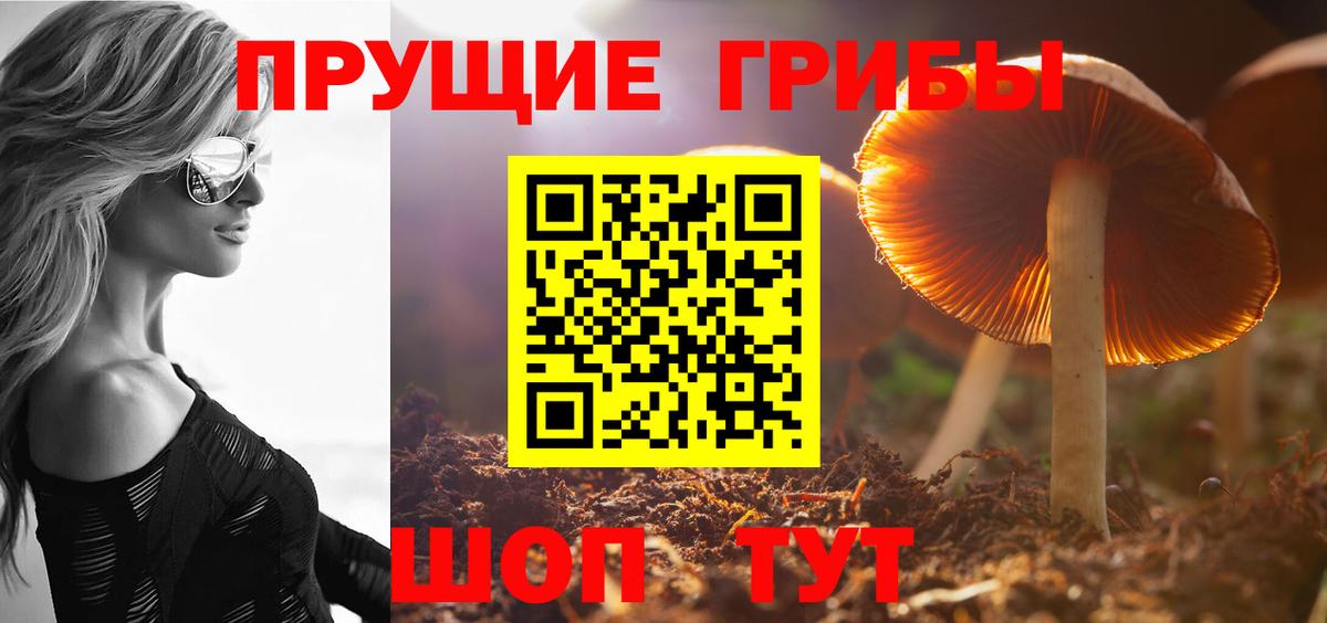 Псилоцибиновые грибы мицелий Карталы